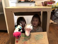 25 November 2018 Sunday around the house.